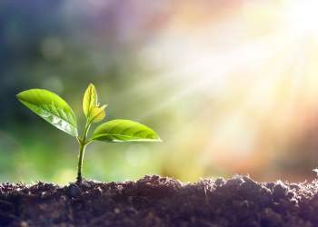 Bitcoin is Just a Few Hundred Away from Entering a Glorious Bull Market