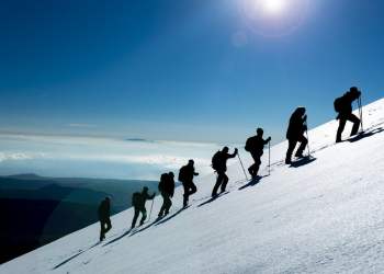 Crucial Ethereum On-Chain Data Suggests a Top For Altcoins is Forming