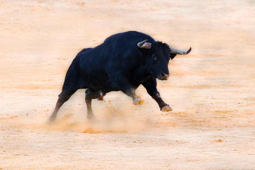 Chainlink Rising Active Addresses Point to Bullish Continuation: Research