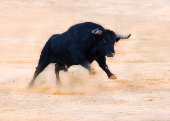 LINK, chainlink, cryptocurrency, linkusd, linkbtc