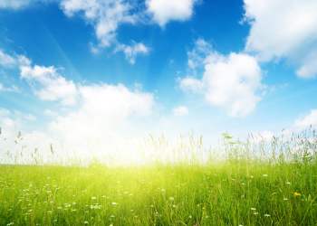 This Unexpected Signal Indicates Bitcoin Is About to See a Bull Trend