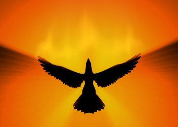 Bitcoin is About to Make a Move Towards $10K; Analyst Explains Why