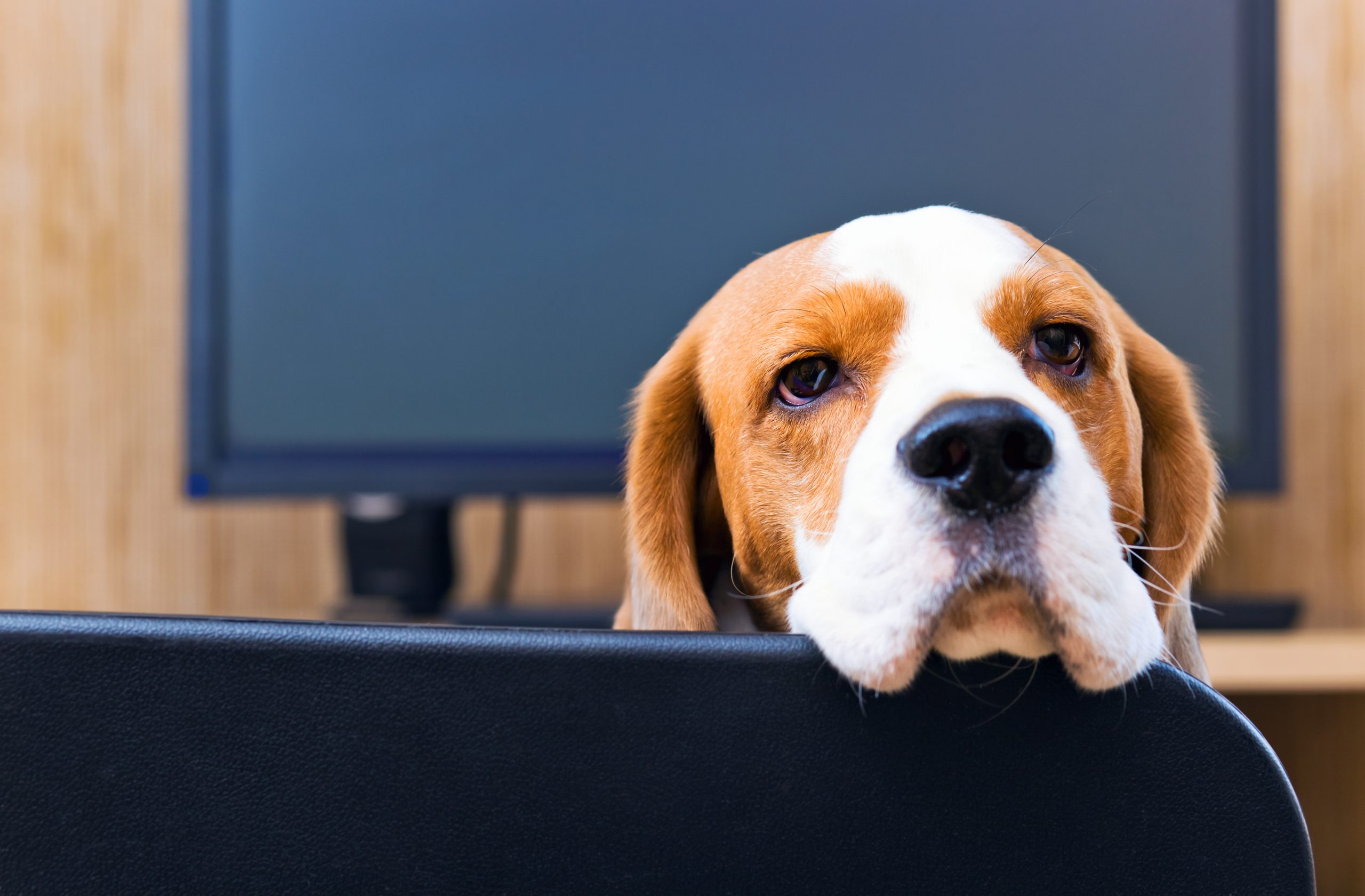 Why Data Could Suggest Bitcoin Boredom Will Last Another Three Months