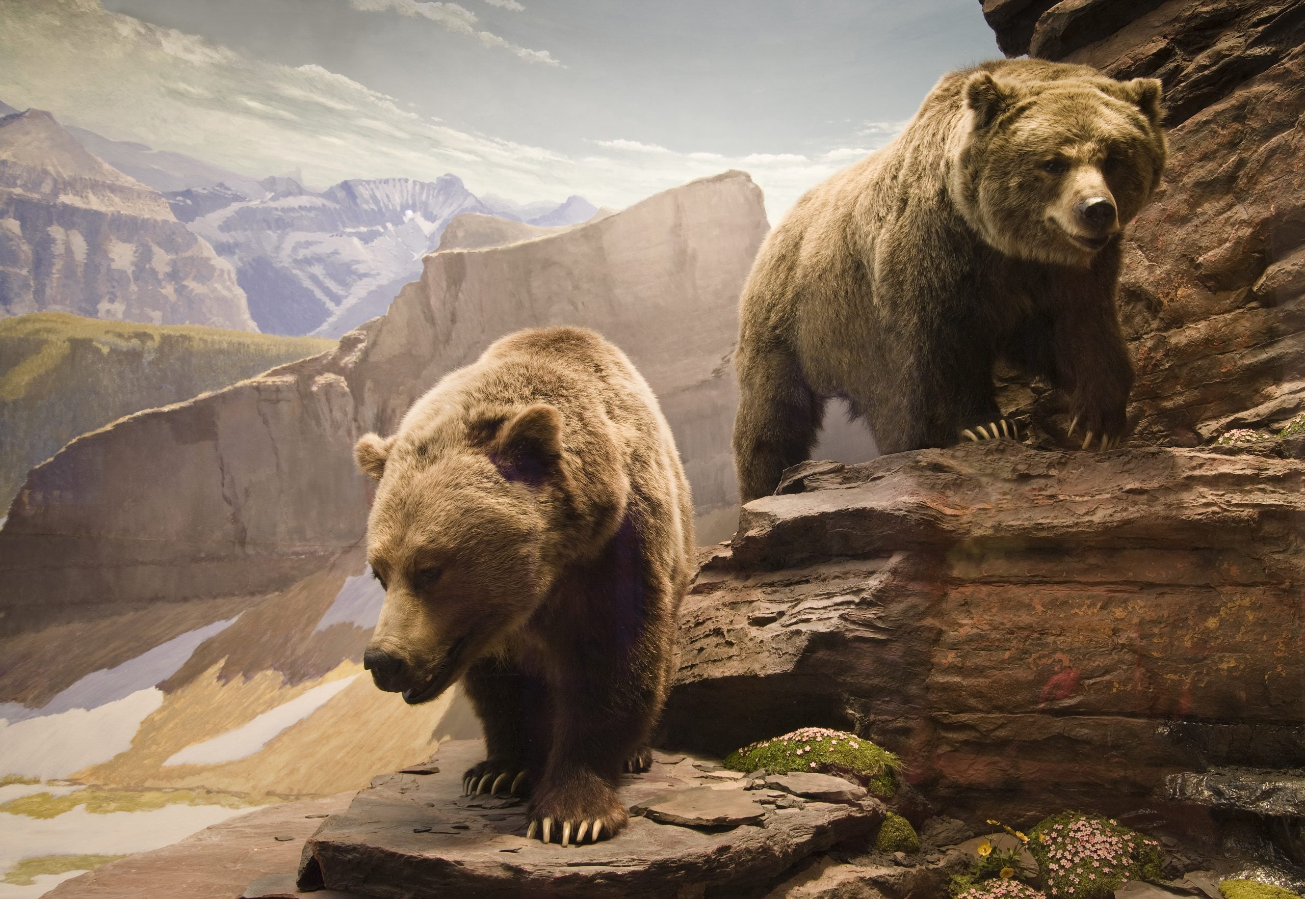 Two Bearish Signals, One Indicator: Bulls Beware of Bitcoin Push Beyond $10,000