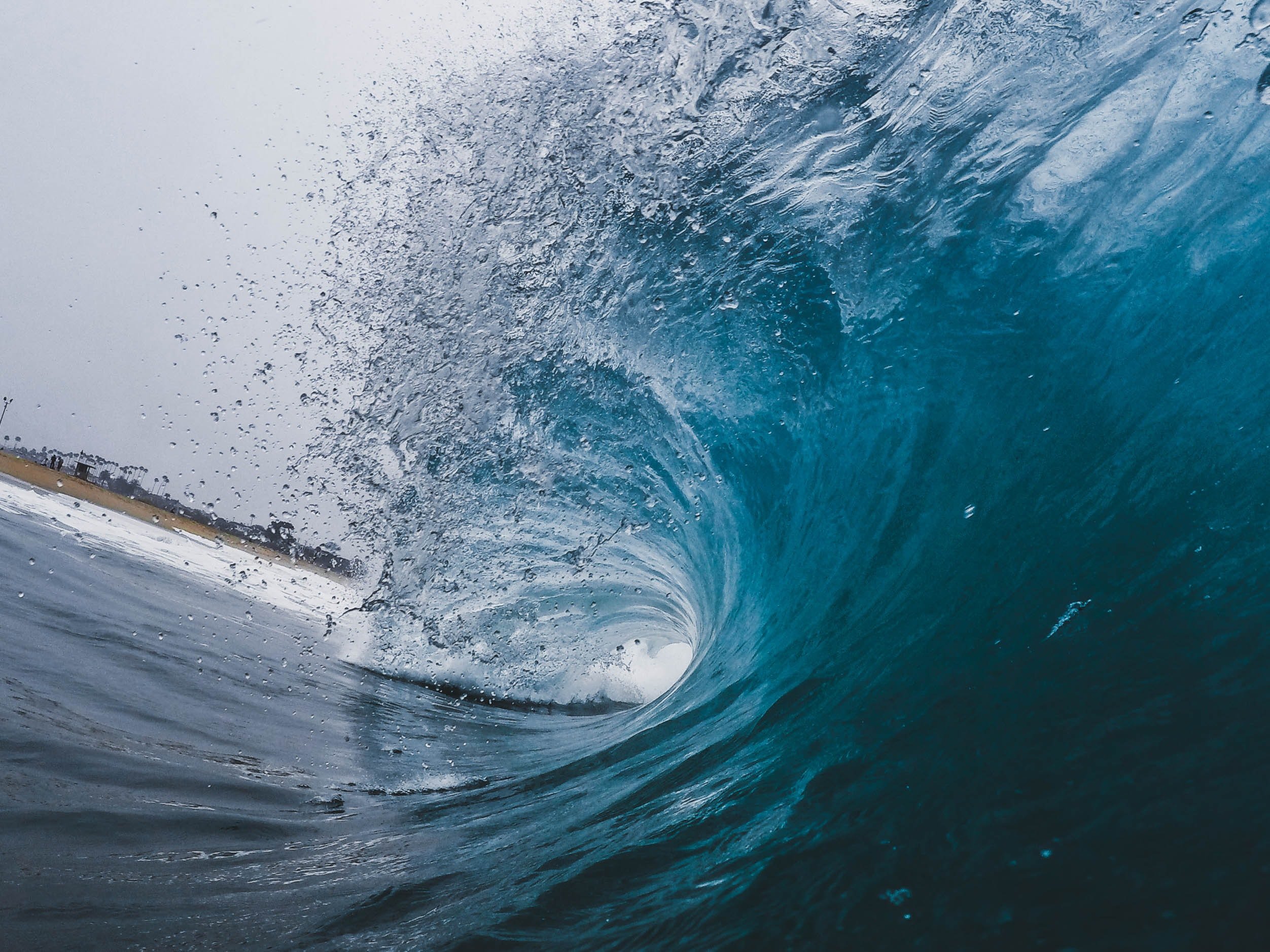 History Suggests XRP Could Soon Rally Over 30%, But Macro Weakness Remains