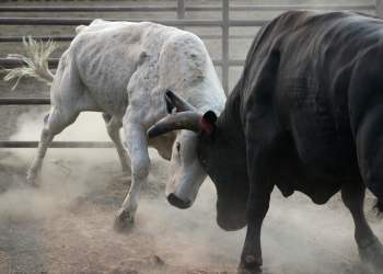 Bitcoin Attacks Range Highs as Analysts Target Move to $12,000+