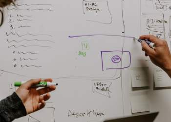 Speculation Heightens Over Collaboration Between Cardano and Litecoin