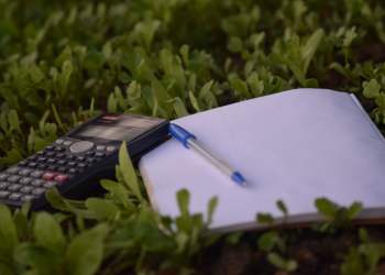 Matic Network Gives a Glimpse Into How Big DeFi Staking Will Be