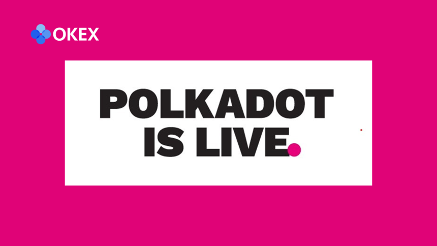 polkadot