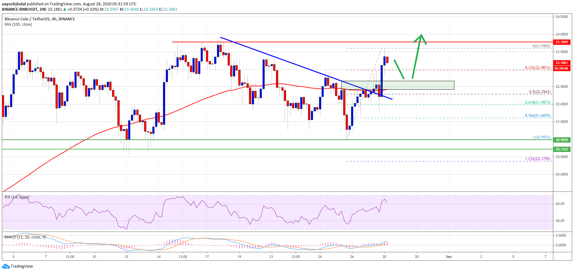 Binance Coin (BNB)