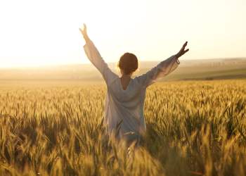 Ethereum DeFi’s Balancer (BAL) Surges 25%: Why the Altcoin Is Up So Much