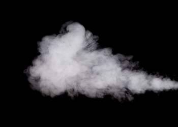 Cardano Continues Building Steam by Concluding Project Renovare