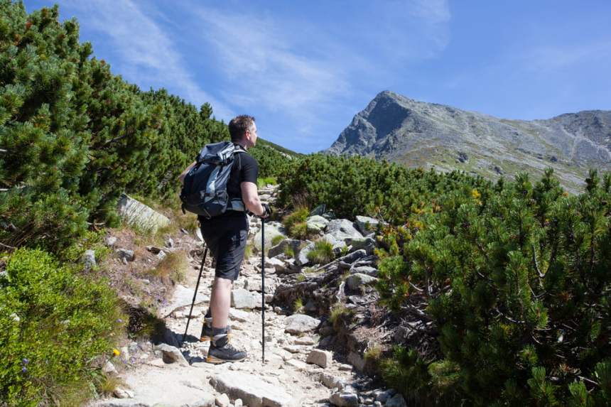 tezos, xtz, cryptocurrency, xtzusd, xtzbtc