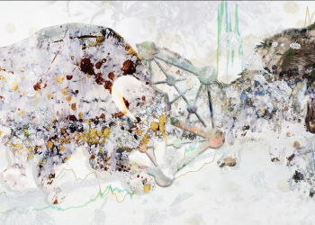 NFT Day with Coingenius