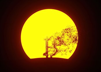 bitcoin kill destroy solar flare