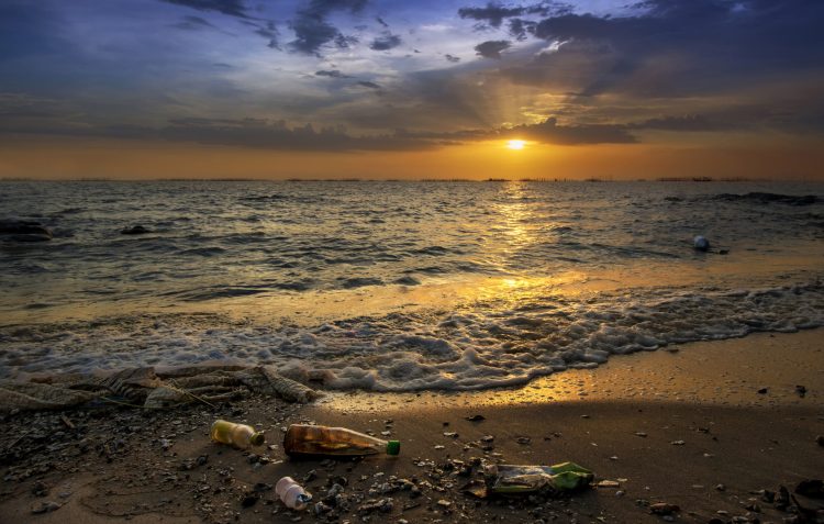 crypto defi trash beach altcoin major xrp ltc