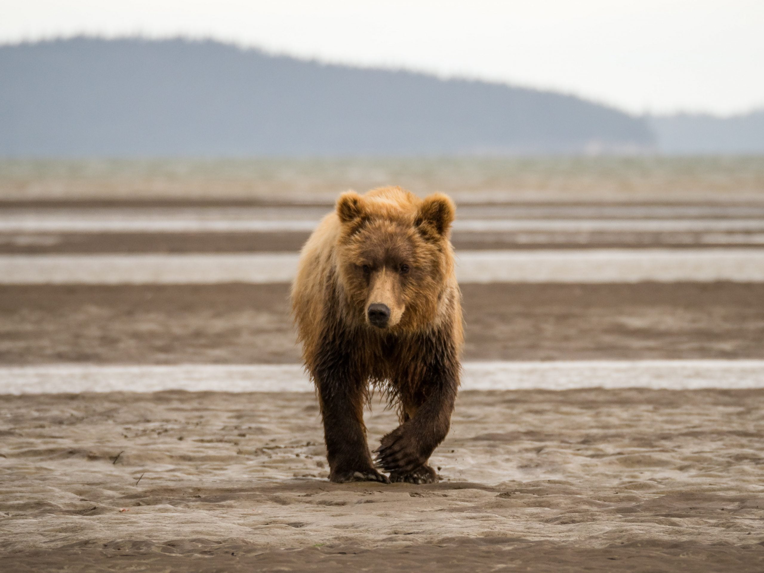 Institutional Traders on the CME are Still Bearish on Bitcoin; Here’s Why