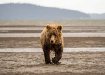 Institutional Traders on the CME are Still Bearish on Bitcoin; Here’s Why