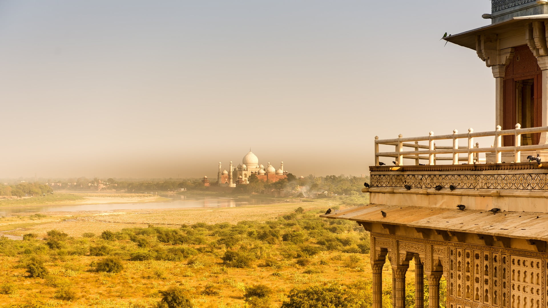 india, okex