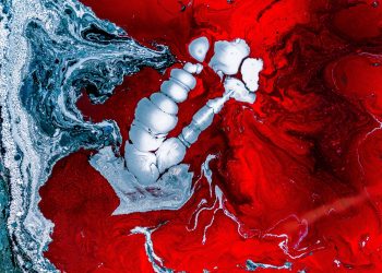 Here’s Why Analysts Expect Bitcoin to Plunge Towards $10,300 Next