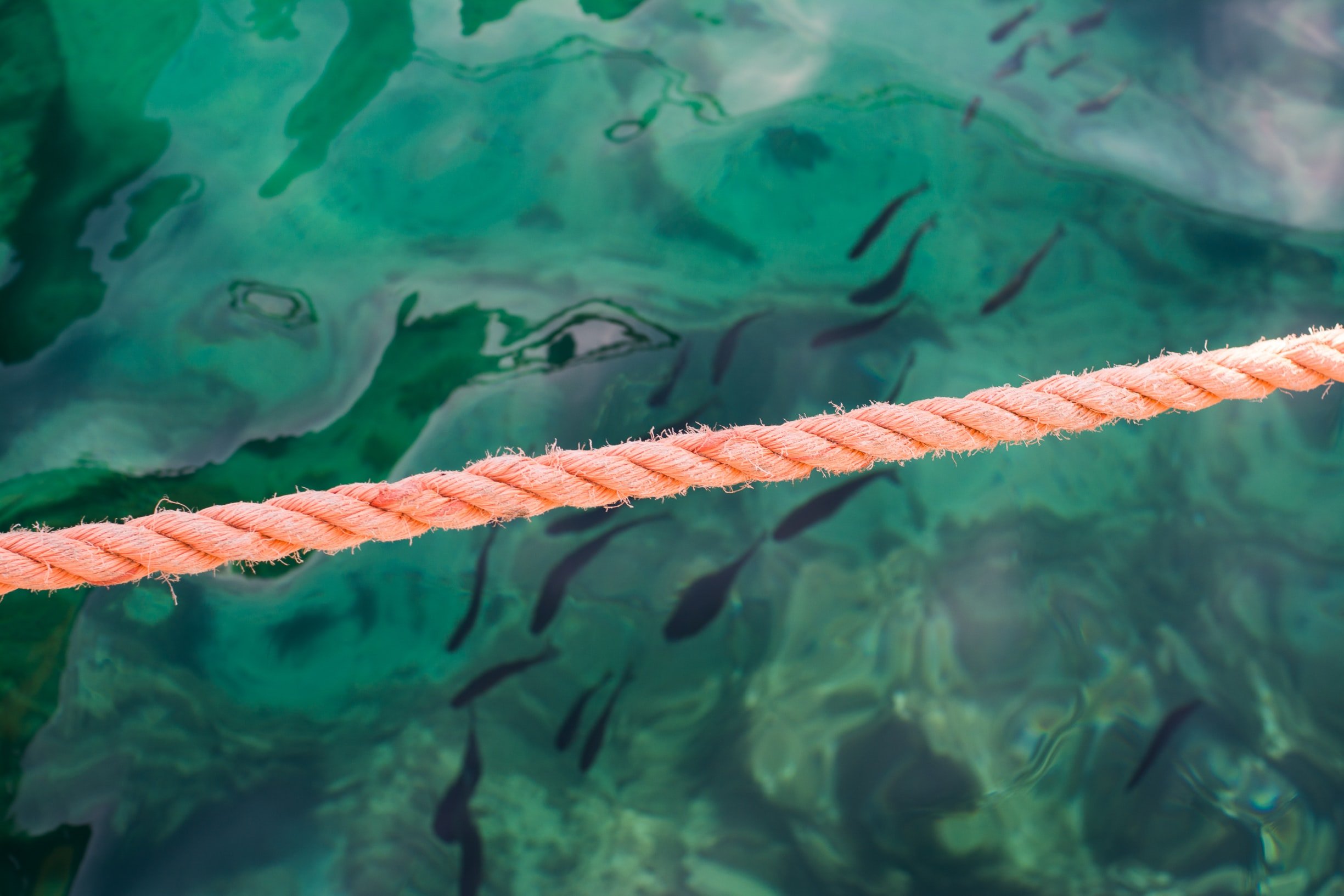 Ethereum Reaches a “Do or Die” Range Following Harsh Rejection at $396