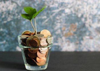 Small Investors are Flooding into Bitcoin as Whales Start Losing Market Dominance