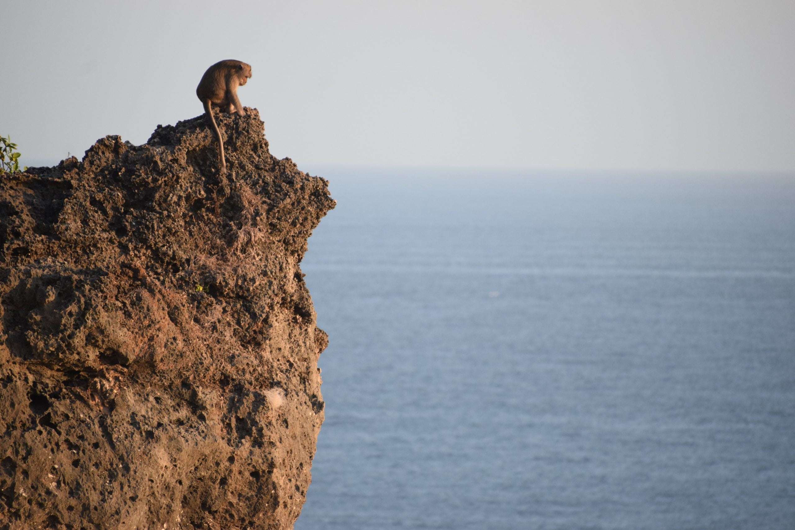 Exchange’s Bitcoin Balance Just “Dropped Off a Cliff” as Bullish Undercurrent Grows