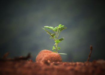 Bitcoin’s Rocketing Network Activity Suggests BTC Remains Highly Undervalued