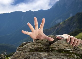 xrp bulls bearish collapse ripple crypto altcoin