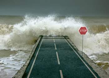 xrp ripple altcoin crypto