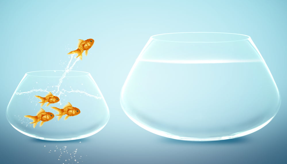 CREAM Jumps 54% on Binance Listing; Major Dump Ahead?