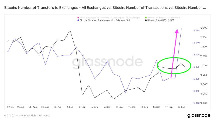 bitcoin btcusd