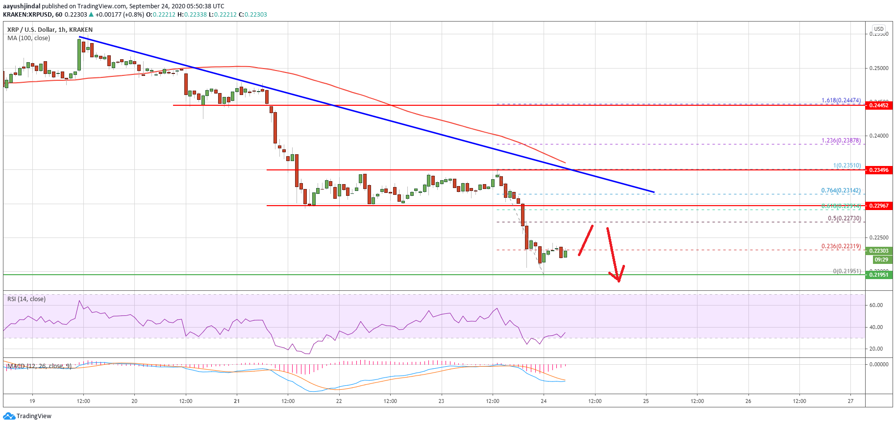 Ripple (XRP) Price Plunges to $0.22: Can Bulls Save This Key Support?