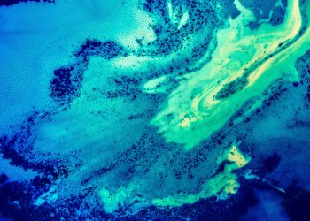 These Factors Suggest Chainlink is About to Make a Massive Push Higher