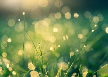 Bitcoin’s “Difficulty Ribbons” Just Entered the Buy Zone for the First Time Since March