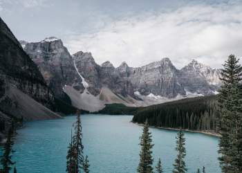 Bitcoin Price Dives $150 in Minutes as Volatility Persists