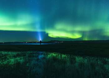 Bitcoin Forms “Obviously Bullish” Divergence as User Count Spikes