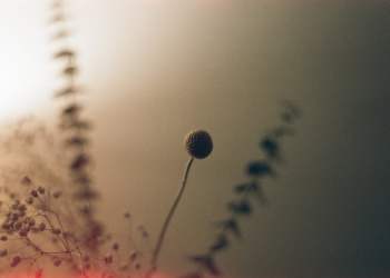 Bitcoin-Themed Art Piece Sells For $130,000 in Christie’s Auction