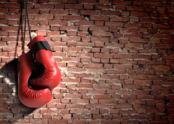 New Contender Emerges Despite Wikipedia’s Begrudging Listing of Cardano