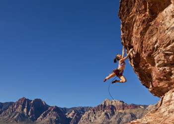 Bitcoin Poised to Hit $15K Even amid Bearish Divergence Alerts