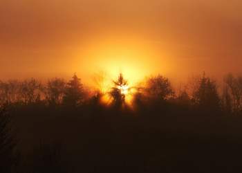 Top DeFi Analyst Explains Why YFI & AAVE Surged 100% in Days