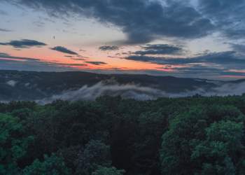 Top DeFi Coins SNX & AAVE Correct 10% as Bitcoin Moves Higher