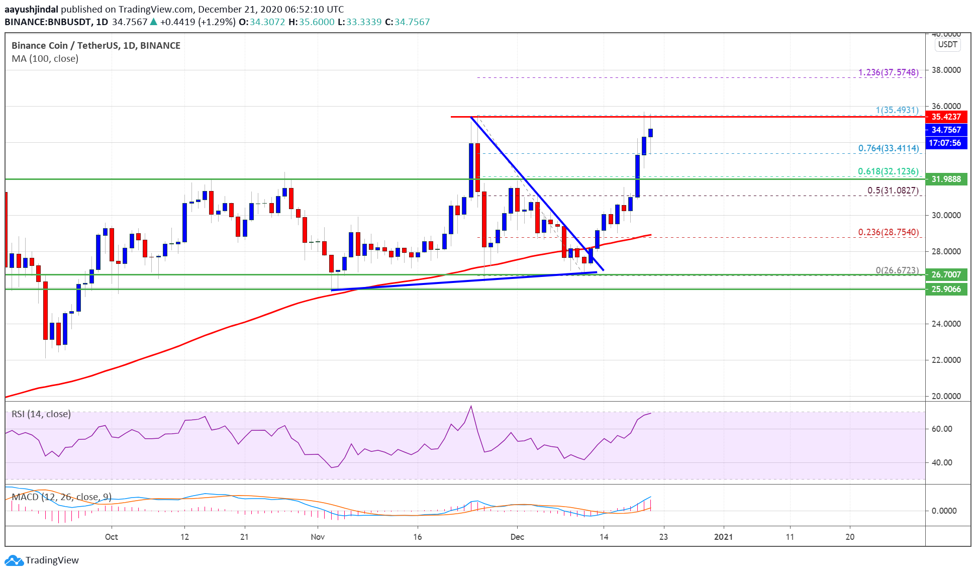 Binance Coin (BNB)