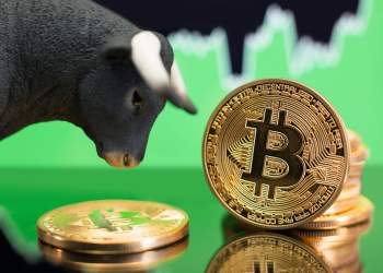 Calls for Another Bitcoin Bull Run Grows as Its Open Interest Soars