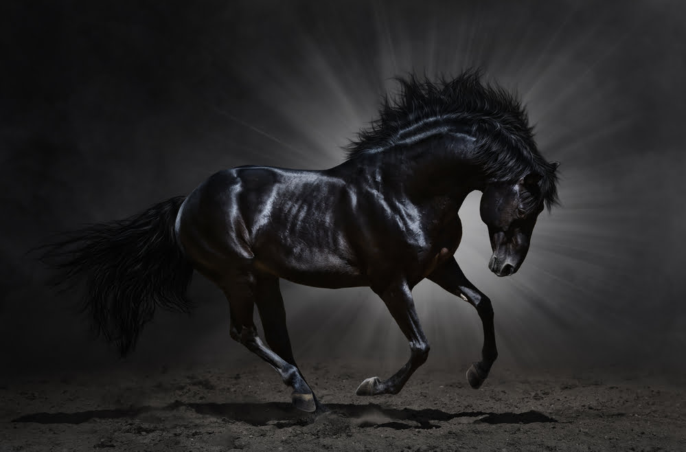 Zilliqa is Proving Itself to be 2025’s Dark Horse