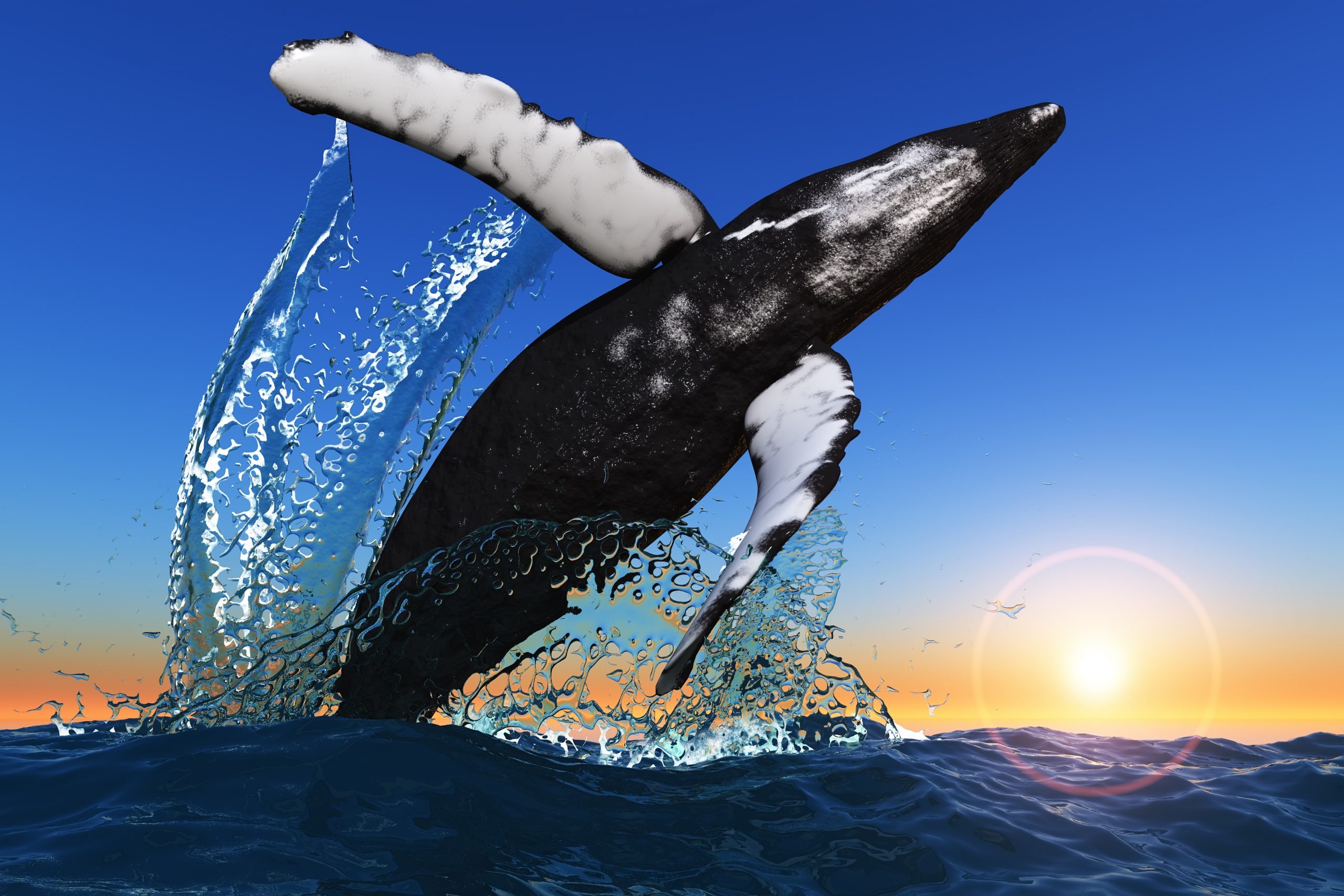 bitcoin whale bullish
