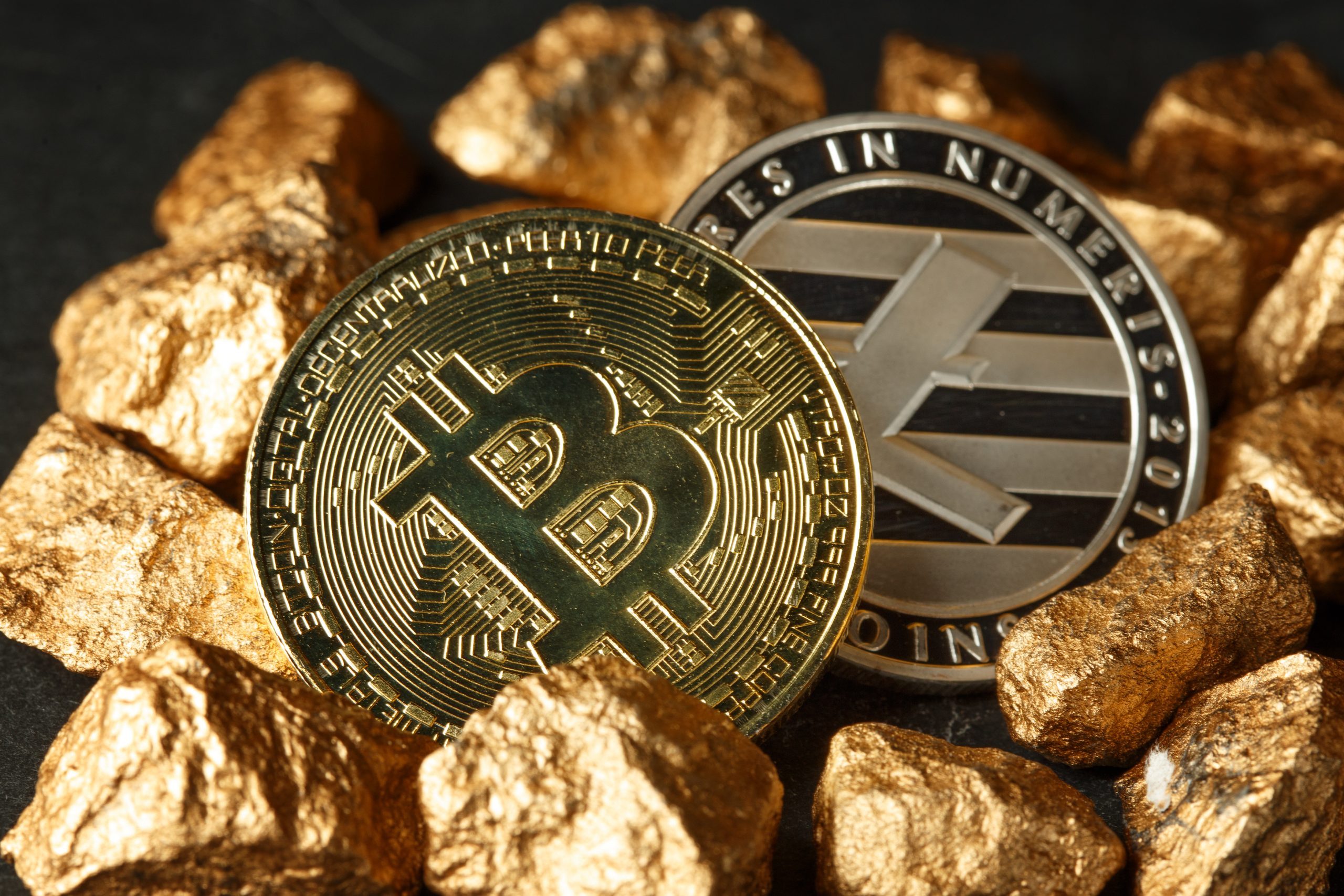 investiți bitcoin ethereum sau litecoin)