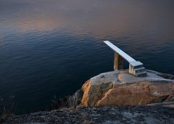 Sell the News? XRP Addresses Grow Significantly Leading Up to Spark Airdrop