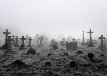 xrp ripple altcoin bitcoin