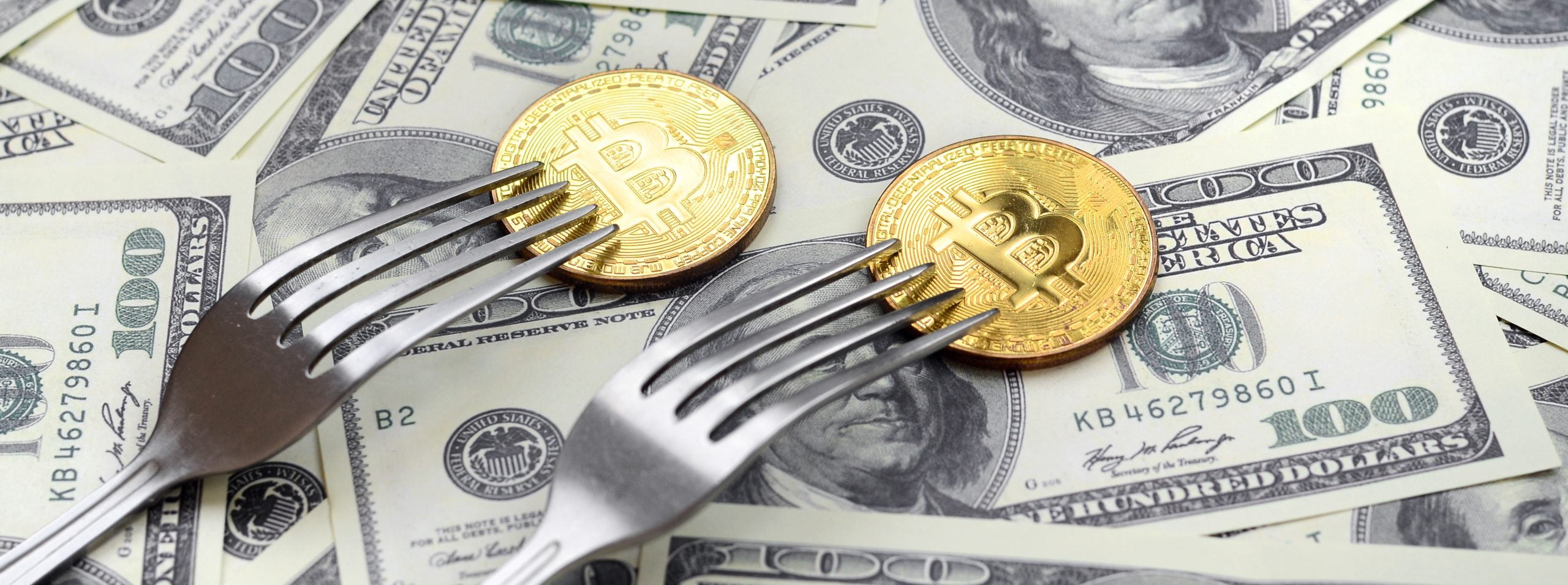 bitcoin cash fork crypto kim dotcom